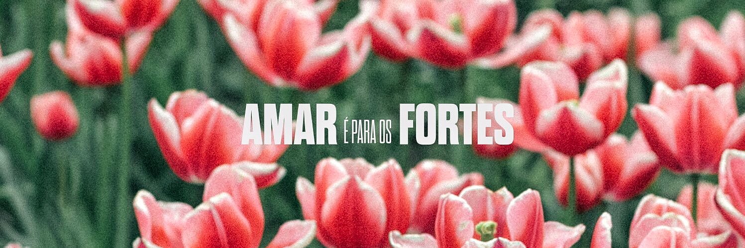 lenobrefialho's profile banner image