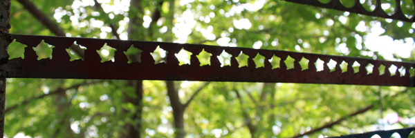 capt_soph Profile Banner