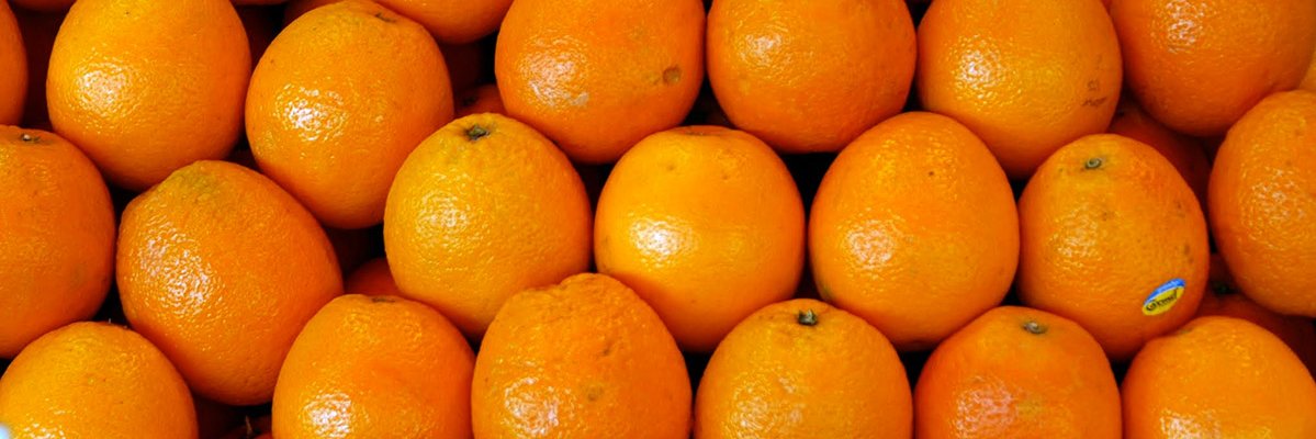 ricastros's profile banner image