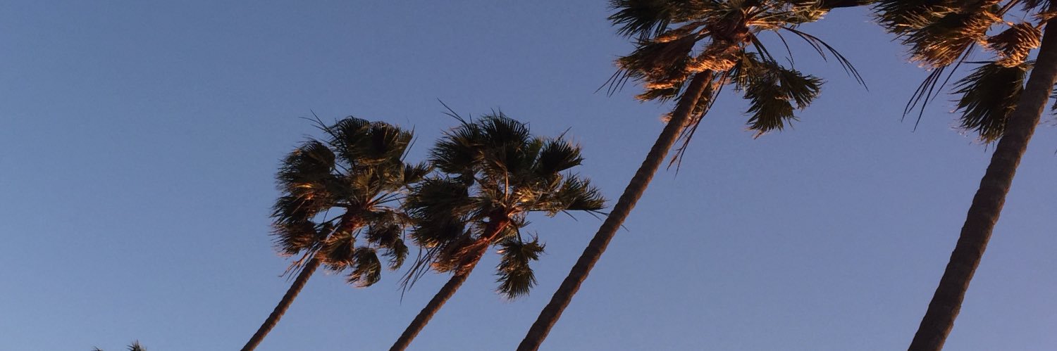 Celinass88's profile banner image