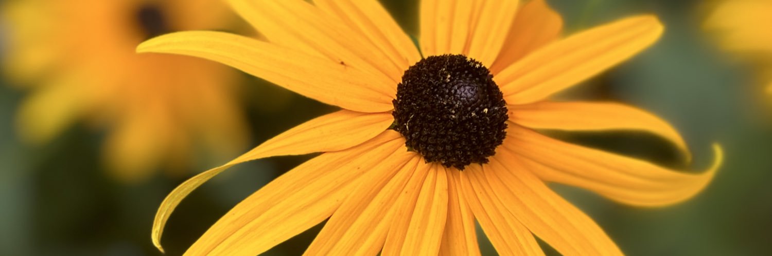 Dr. Antonio Hernandez, PhD banner