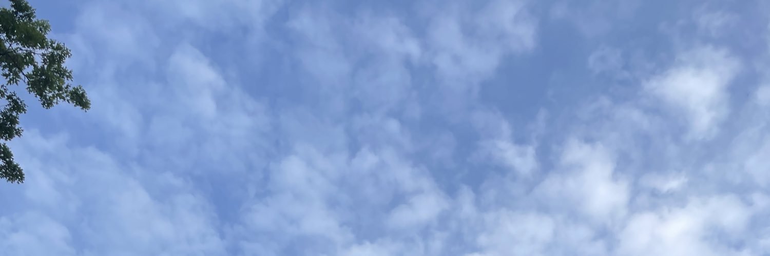 zainabsami00's profile banner image
