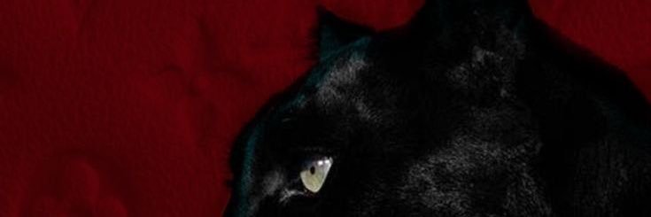 Gha1014's profile banner image