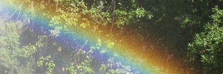 ranproperty's profile banner image
