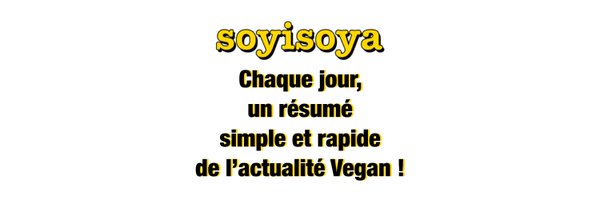 soyisoya_com Profile Banner