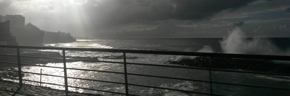 zebenviera91's profile banner image