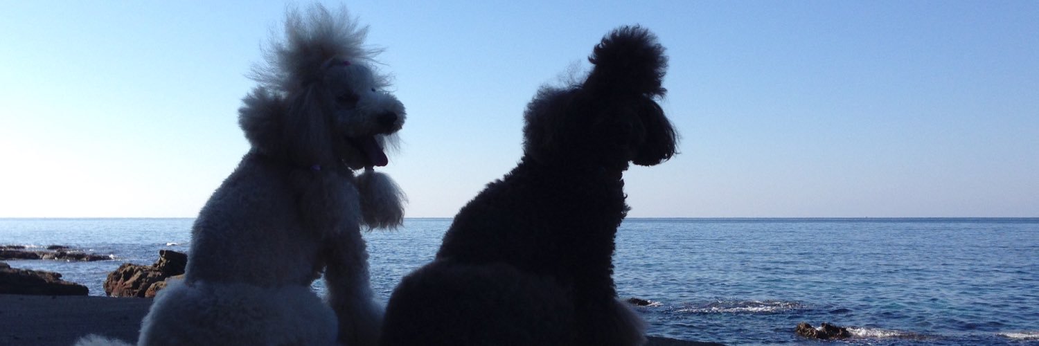 HKRLOVacter's profile banner image