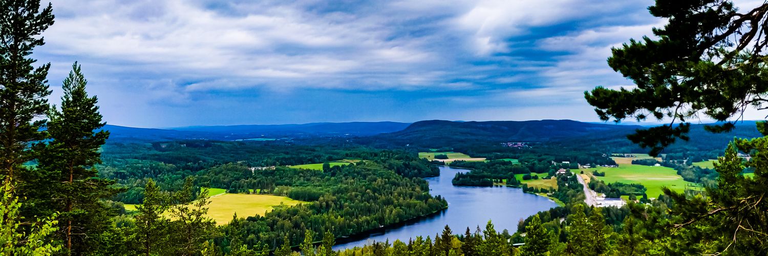 Daniel Carlsson banner