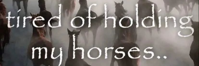 vanni thirdwheels kolkali🙏🏳️‍🌈 banner