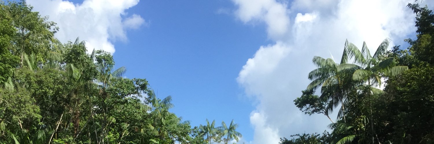 janisparentex's profile banner image