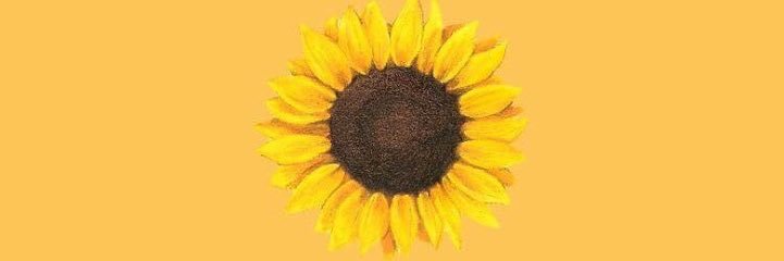yeewquith's profile banner image