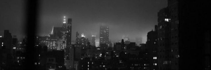 danigerman2's profile banner image
