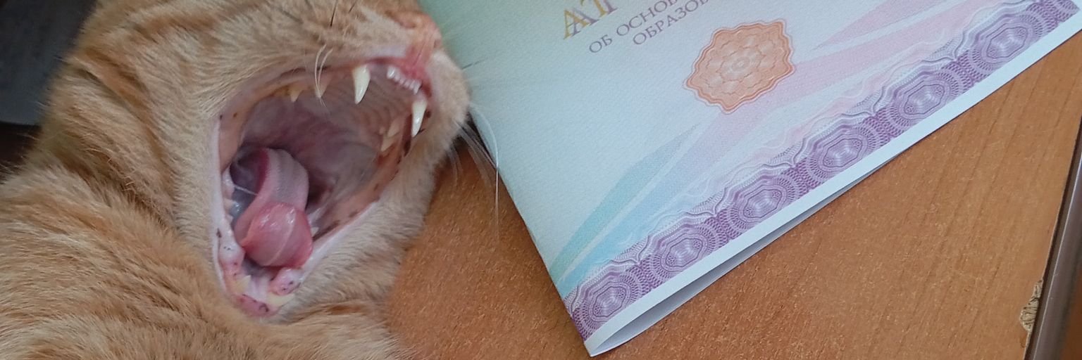 ScroogesTeaBag's profile banner image