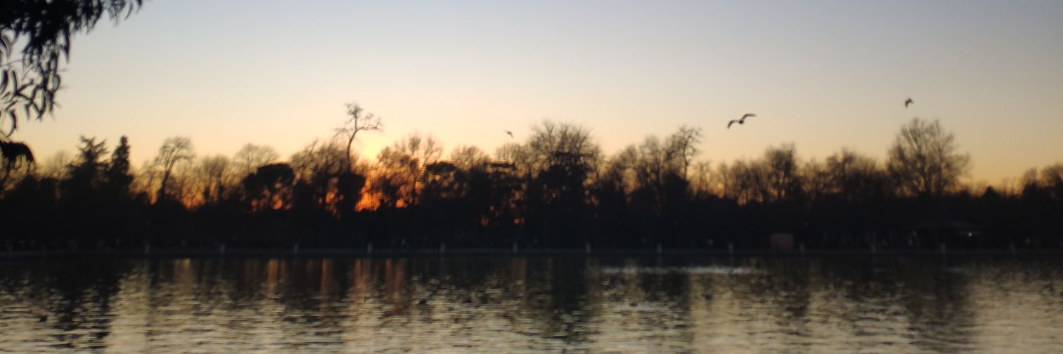 Joseluiscas4's profile banner image