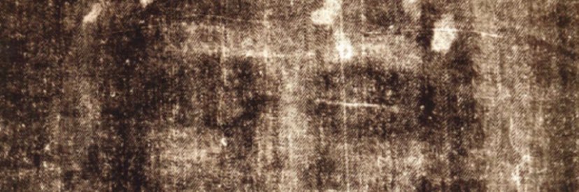 Die Schwarmsicht Ritter banner