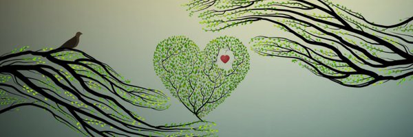 NHSGdevelopment Profile Banner