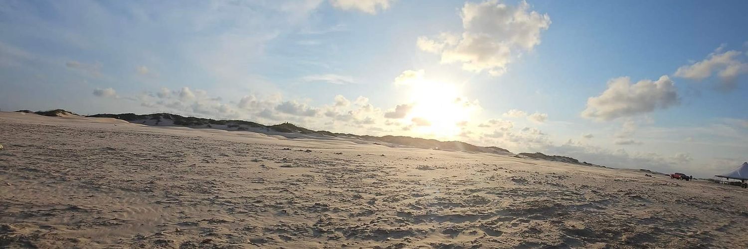 arymichee's profile banner image