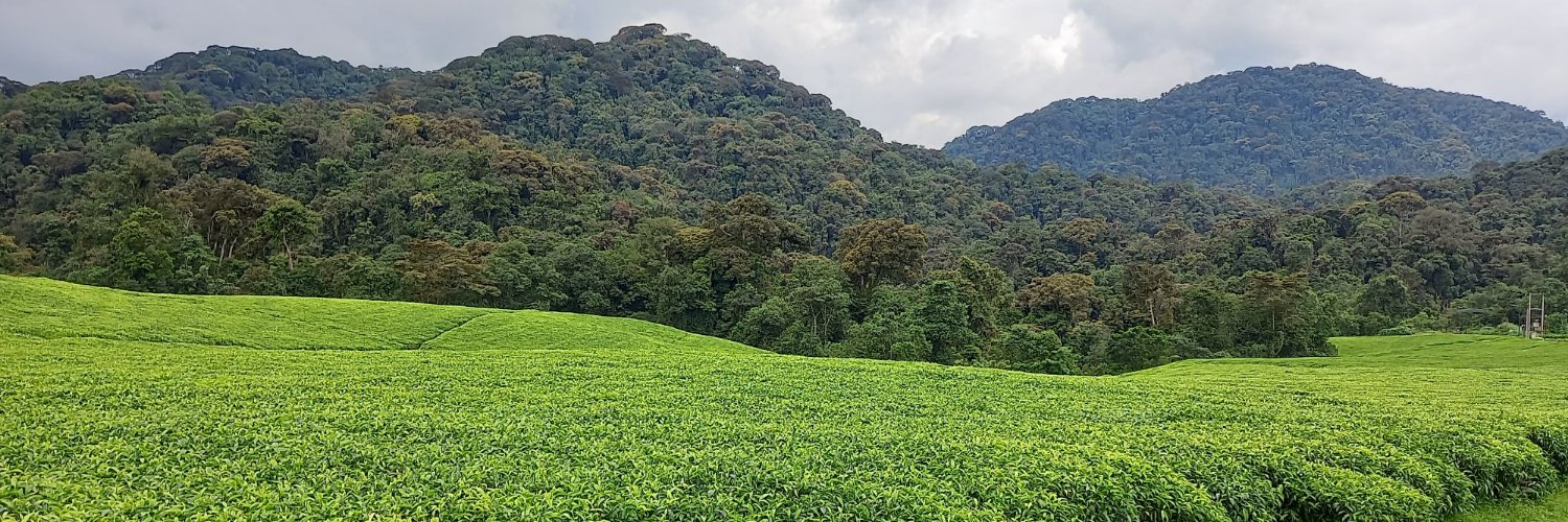 Sweden in Rwanda's banner