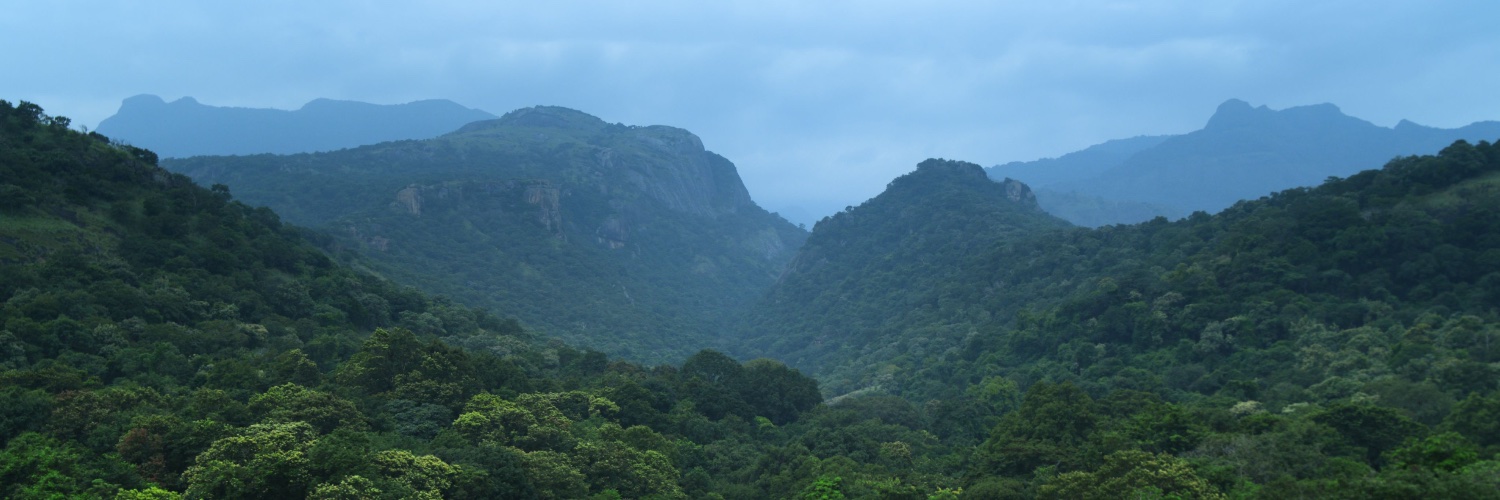 Tenkasi District Police banner