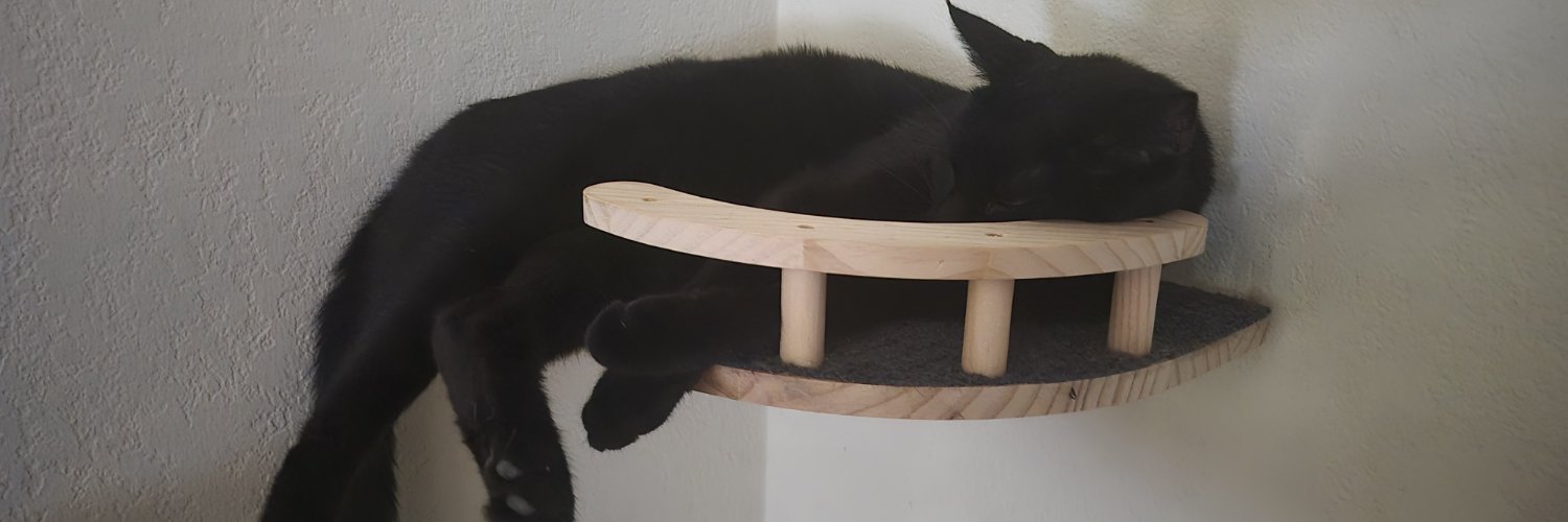 Calicokitty89's profile banner image
