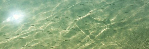 BenderMarineLab Profile Banner
