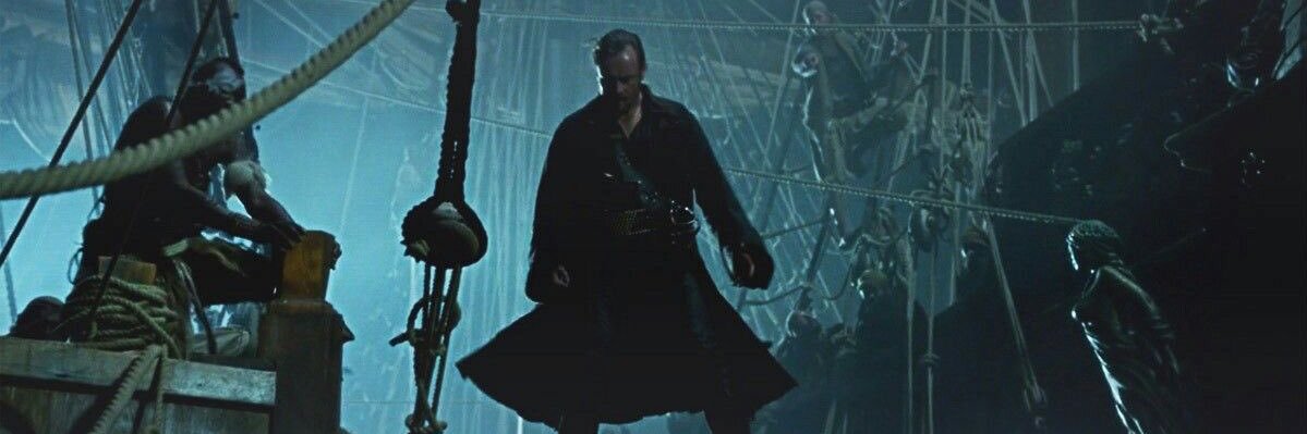 Vik banner