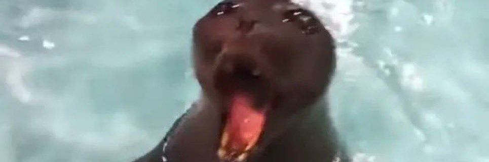 mrs featherbottom banner