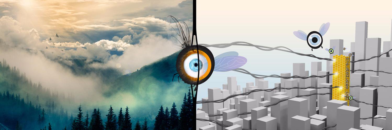 myflashlab's profile banner image