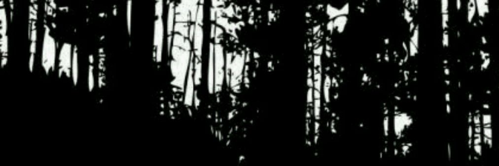 chanekese's profile banner image