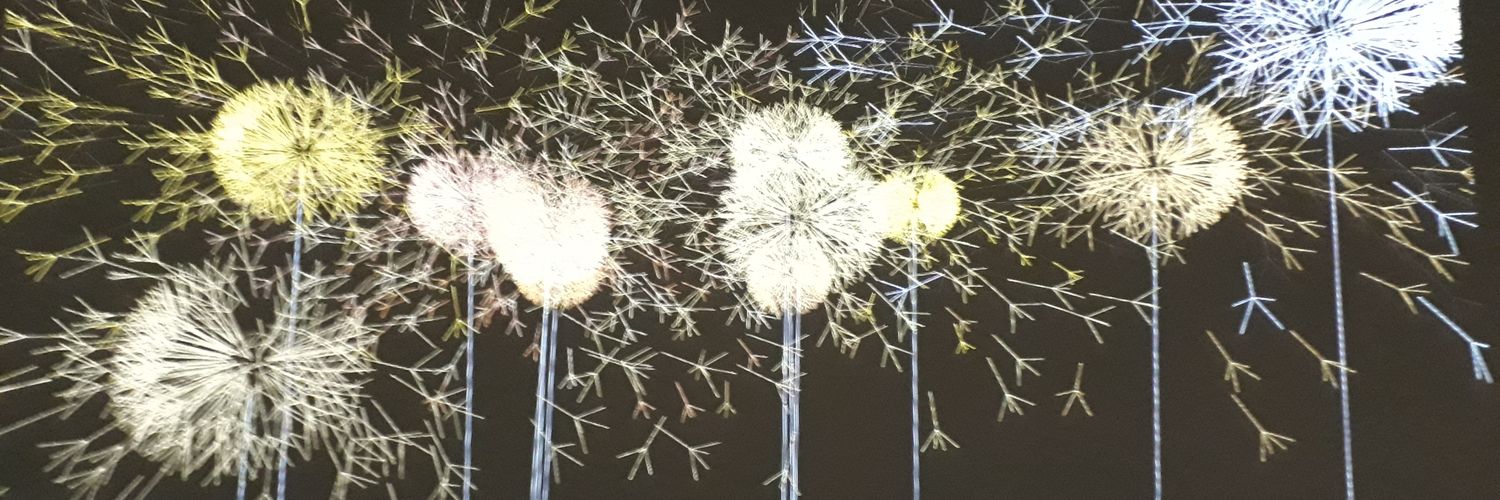 christine kerdellant banner