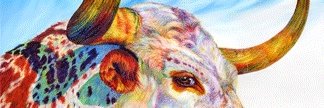BFScaff's profile banner image