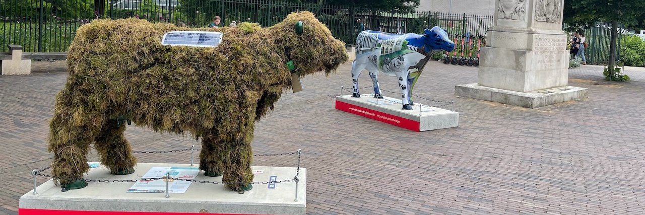 CambMossCow's profile banner image