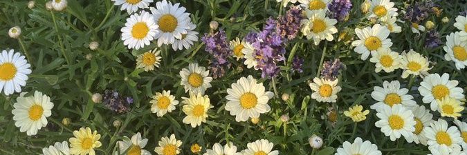 twentyscnd_'s profile banner image