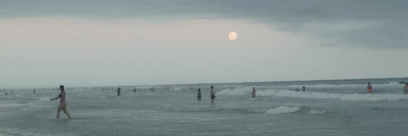 nunu 🧞‍♀️ banner