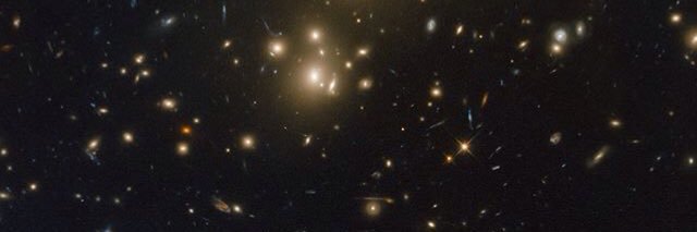 divifillius's profile banner image
