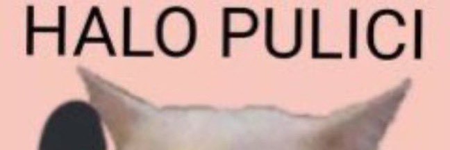 TY banner