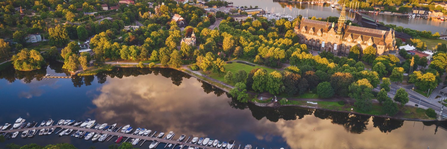 SwedeninZW's profile banner image