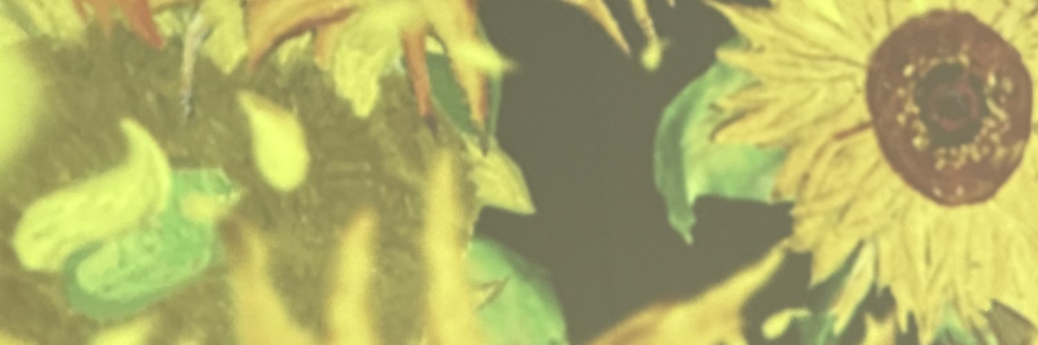 fily banner