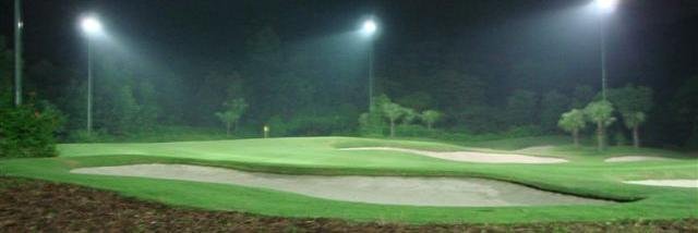 Anton Sapto banner
