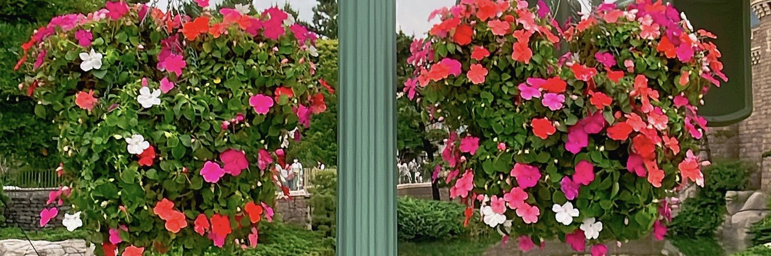 R56_56R's profile banner image