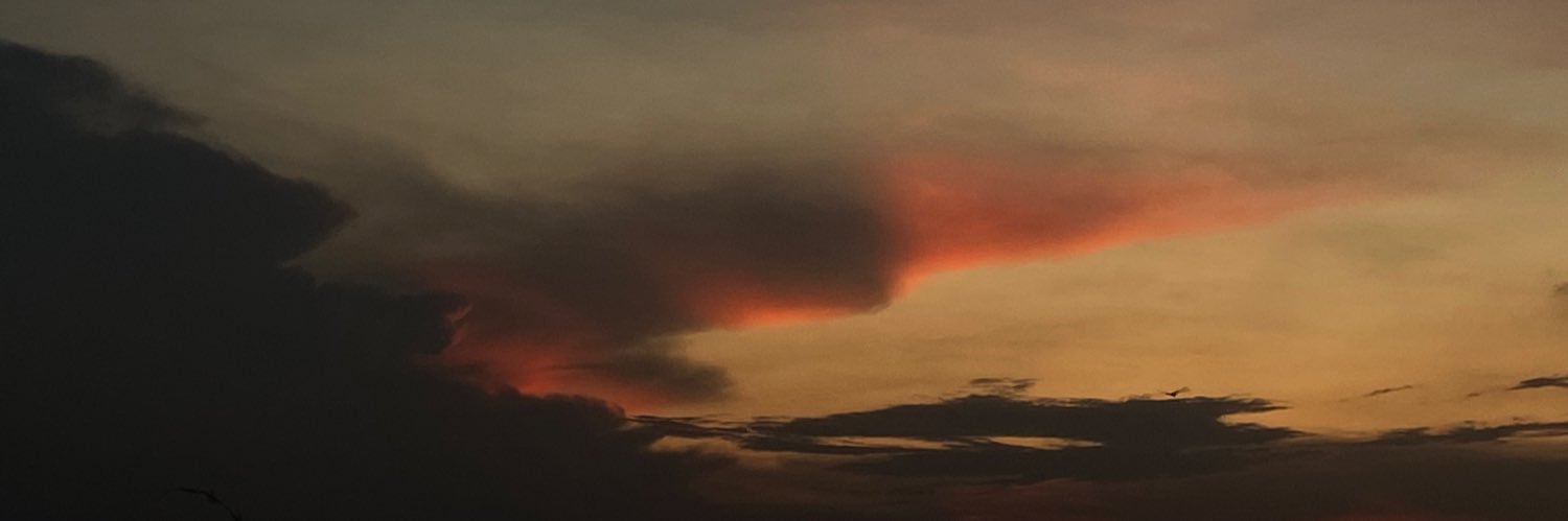 vozuko's profile banner image
