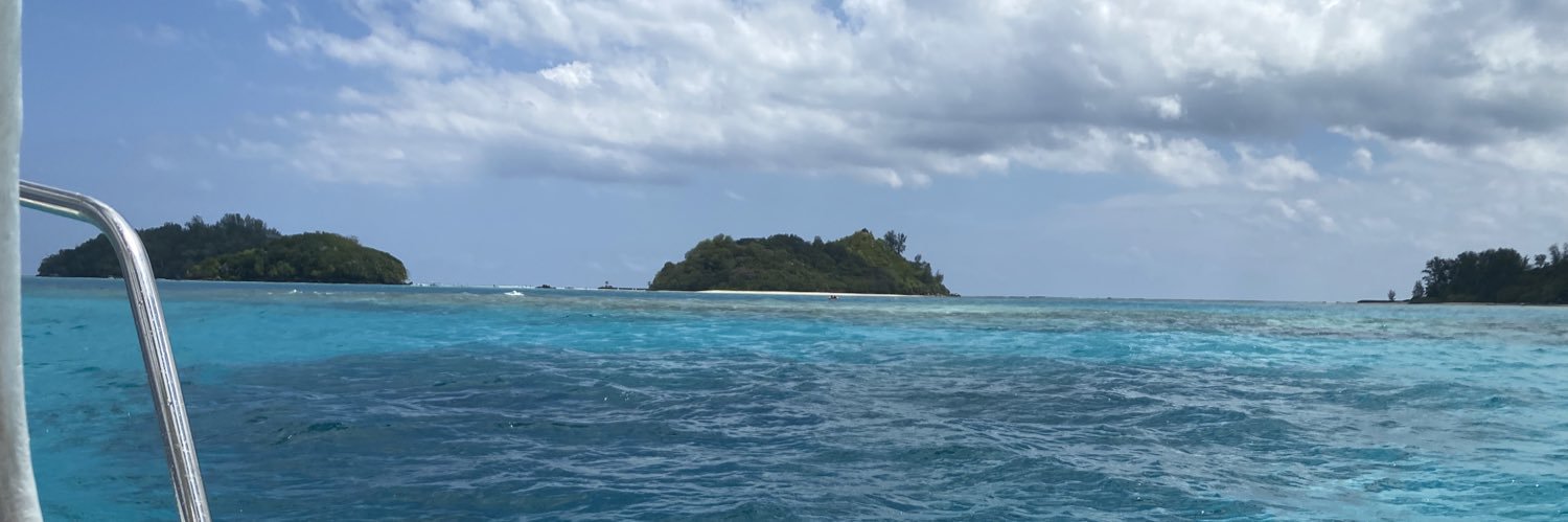 Michael Wejuli banner