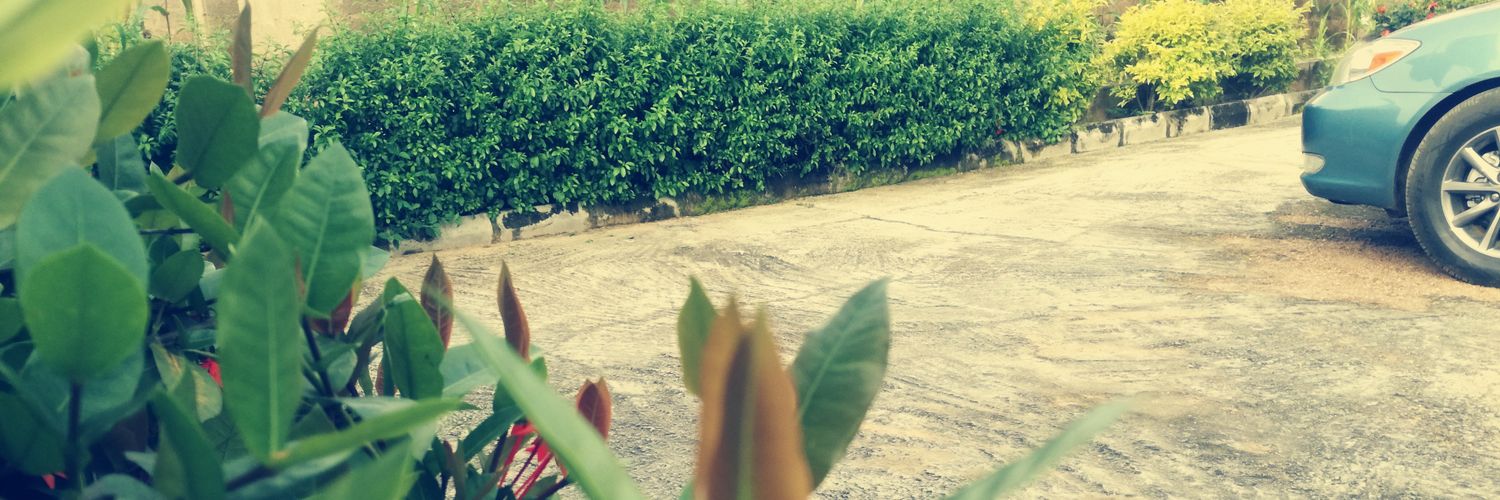 s_a_ally's profile banner image
