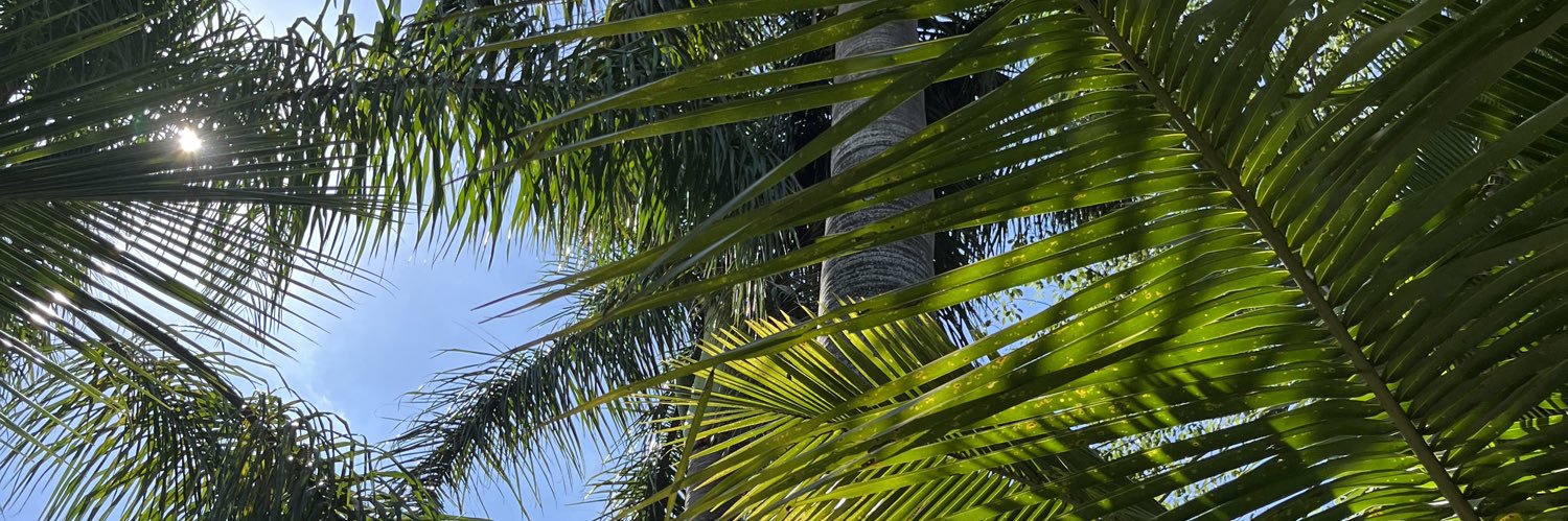 aagusmartin's profile banner image