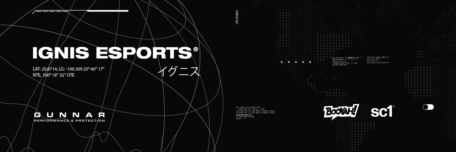 IGNIS Esports banner