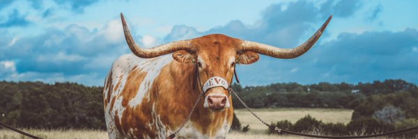 Texastwostepp Profile Banner