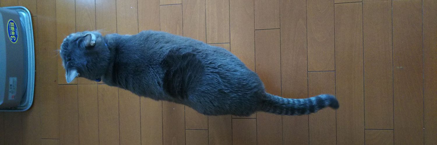 きょうこ banner