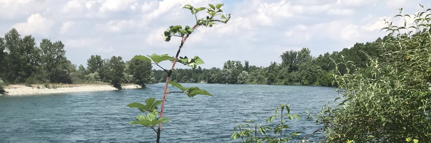 AxelQuarry1907's profile banner image
