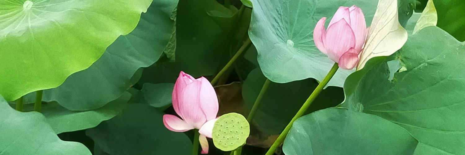across7seas's profile banner image