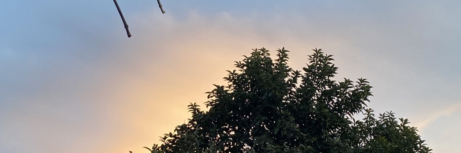 Vickyrdz__'s profile banner image